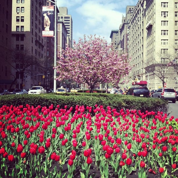 spring nyc