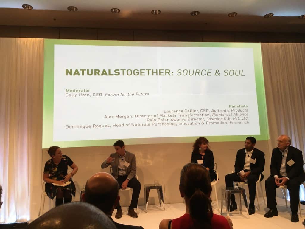 firmenich panel copy