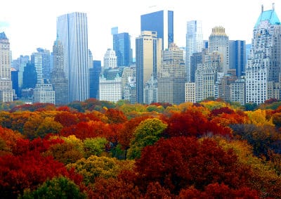 autumn-in-nyc