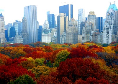 autumn-in-nyc